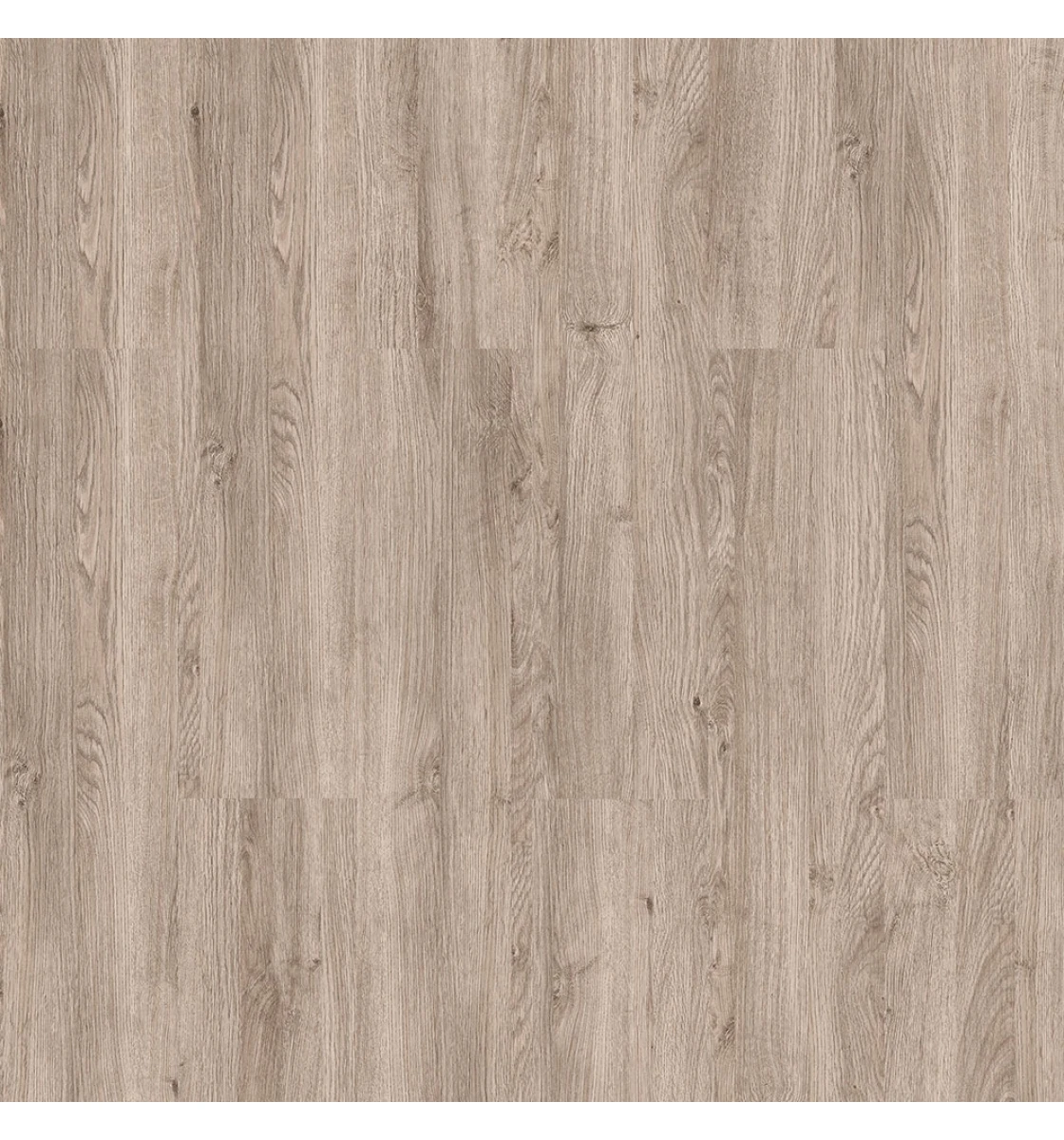 Ламінат Kastamonu Classic Devine Oak (KT205)
