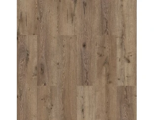 Ламінат Kastamonu Classic Summer Oak (KT210)