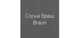 Сосна браш Braun