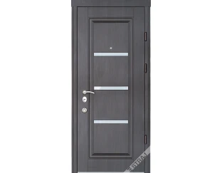 Вхідні двері Страж Vena Glass