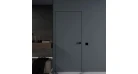 Міжкімнатні двері Danapris Doors Alum Wood 40/45 фарбовані (короб чорний) Фото №1