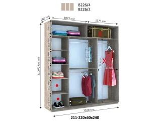 Шкаф купе Виват В 226 (220х60х220)