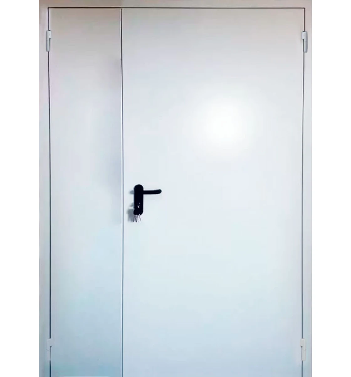 Двери противопожарные EI-30 (1200)